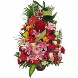 κʻٵ