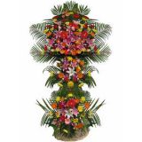 κʻٵ